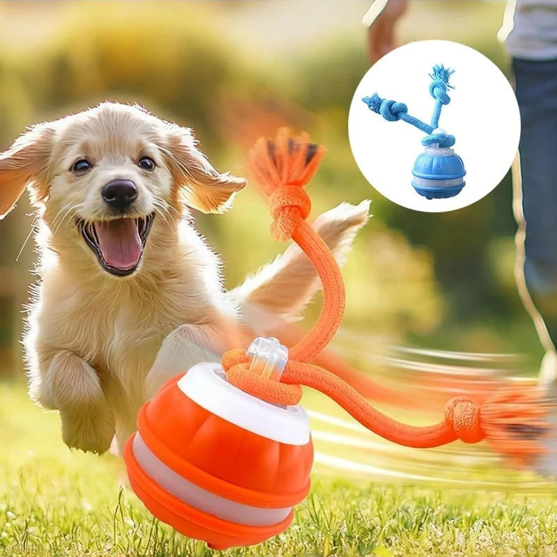 Interactive Smart Rolling Pet Ball - Image 11