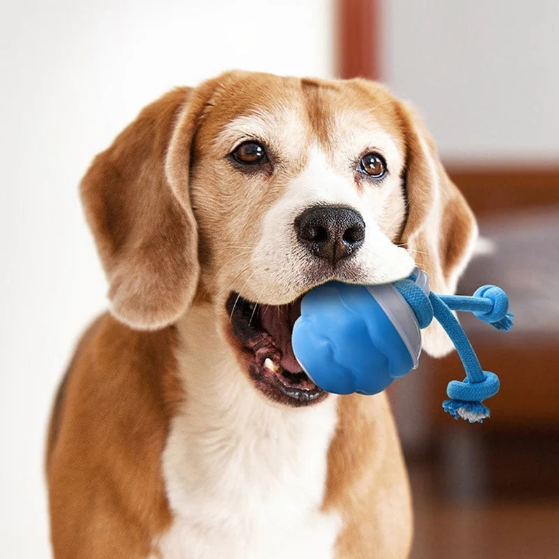 Interactive Smart Rolling Pet Ball - Image 5