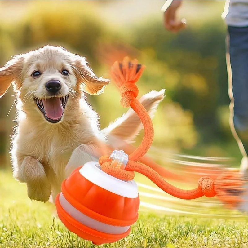 Interactive Smart Rolling Pet Ball - Image 6