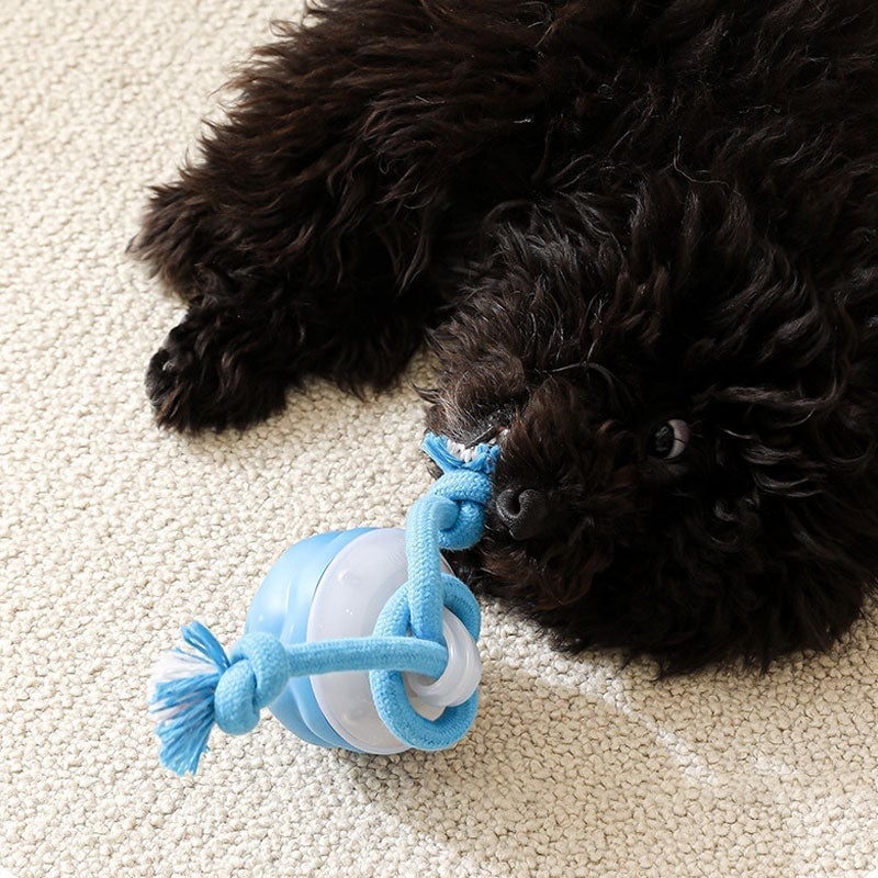 Interactive Smart Rolling Pet Ball - Image 7