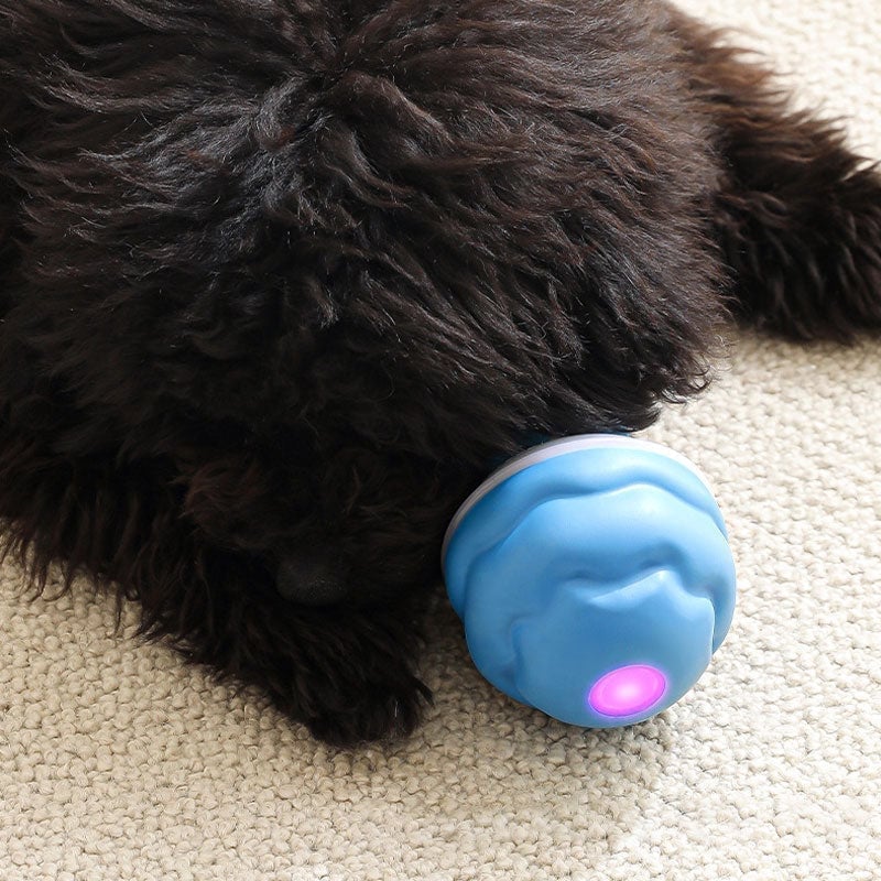 Interactive Smart Rolling Pet Ball - Image 8