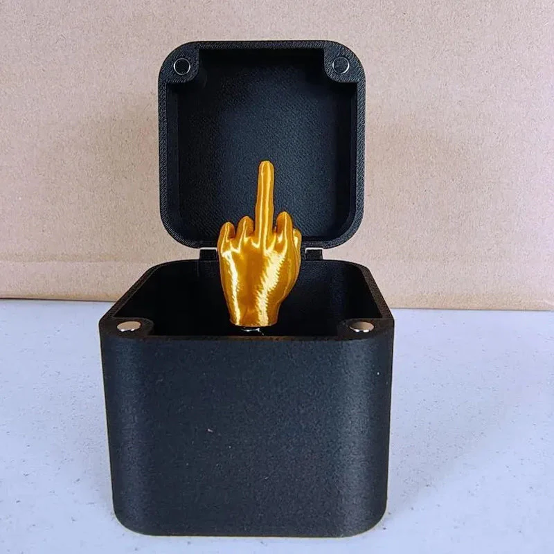 Middle Finger in a Box - Image 3