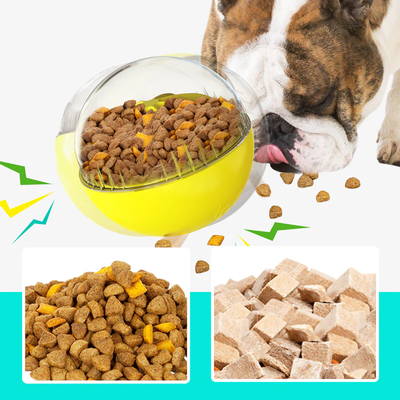 Multi-Functional Dog Toy Ball - Image 3