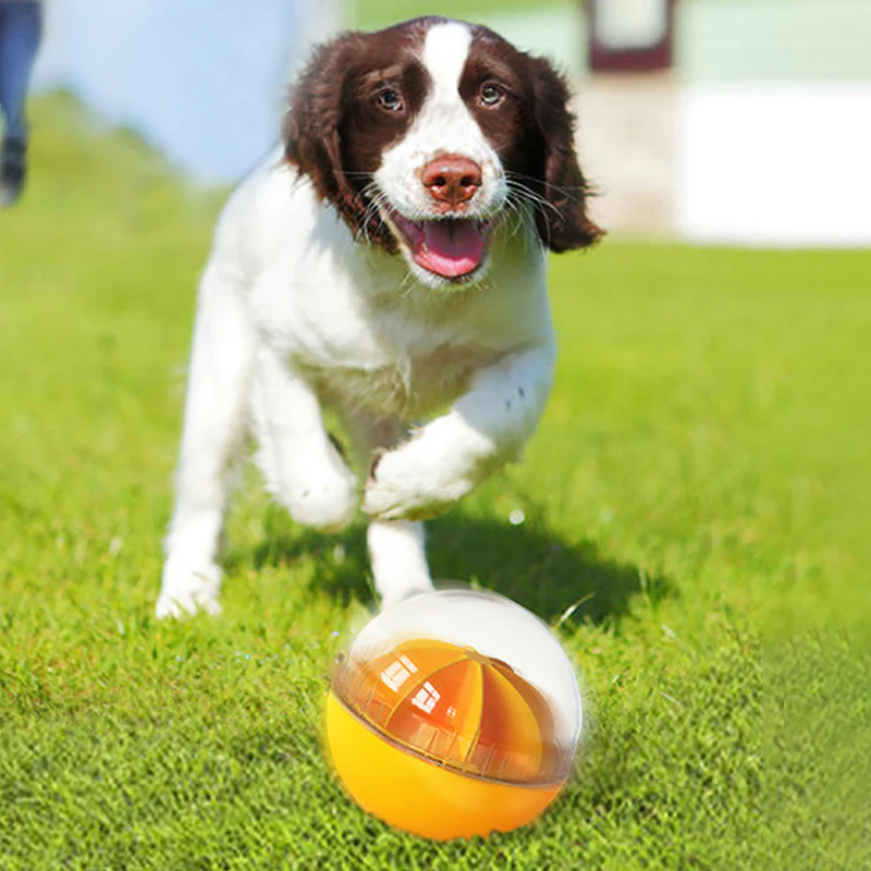 Multi-Functional Dog Toy Ball - Image 6