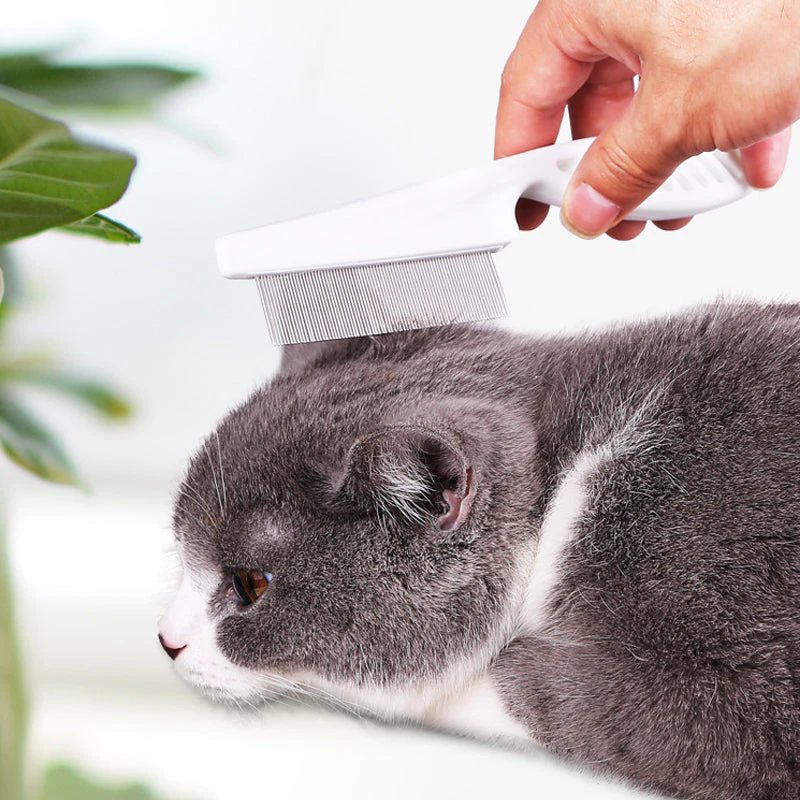 Multifunctional Pet Hair Comb Flea and Tear Stain Removal - Image 7