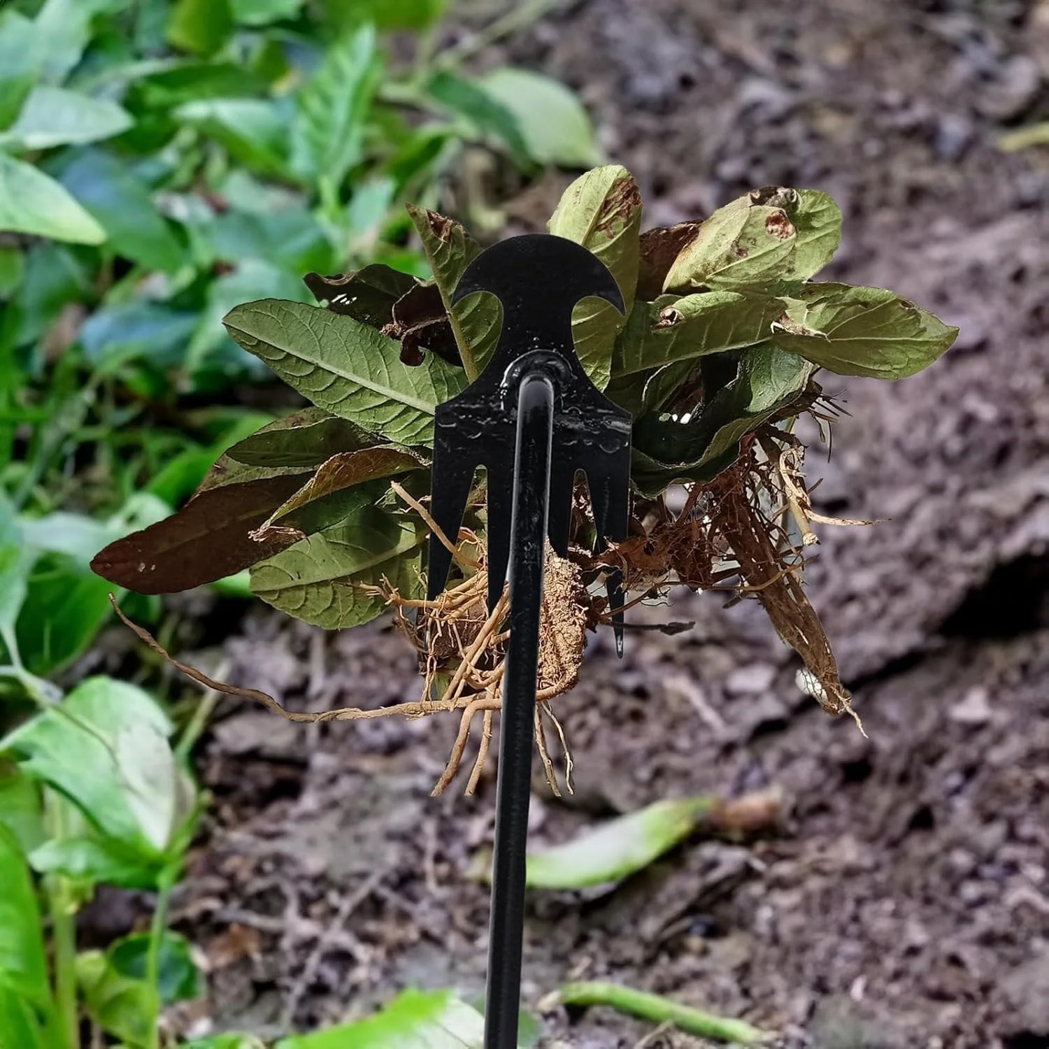 New Garden Weed Pulling Tool - Image 2