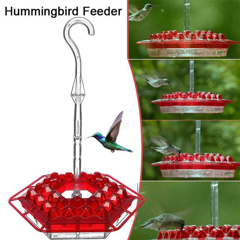 New Hummingbird Feeder - Image 2