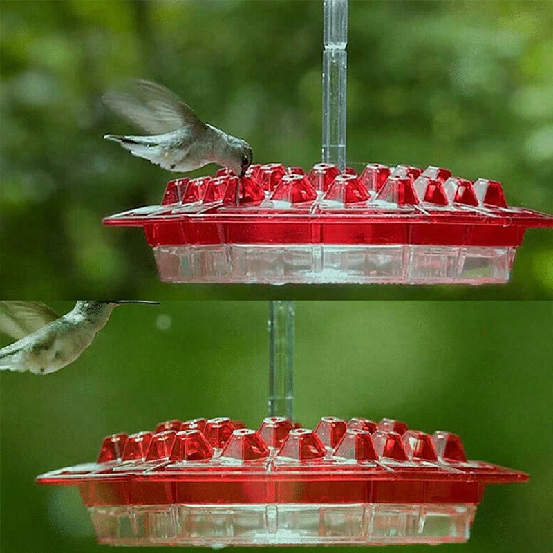 New Hummingbird Feeder - Image 3