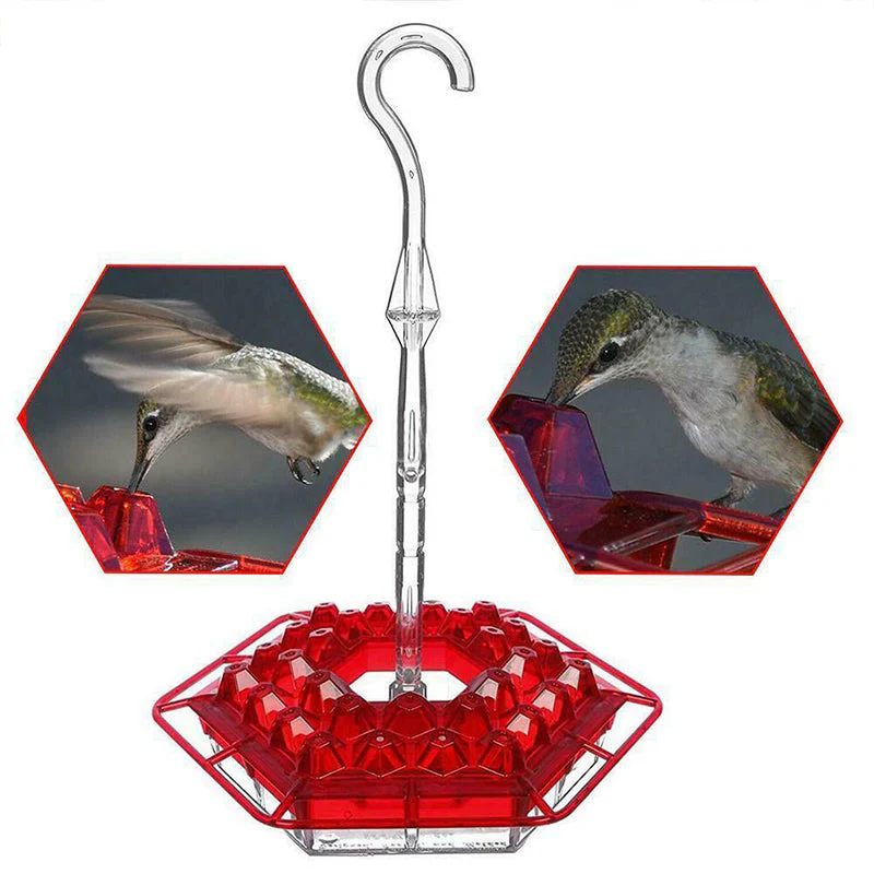 New Hummingbird Feeder - Image 4