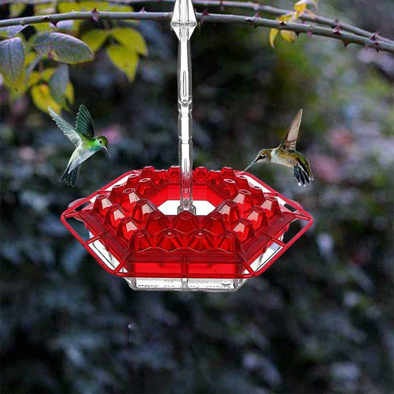 New Hummingbird Feeder - Image 5