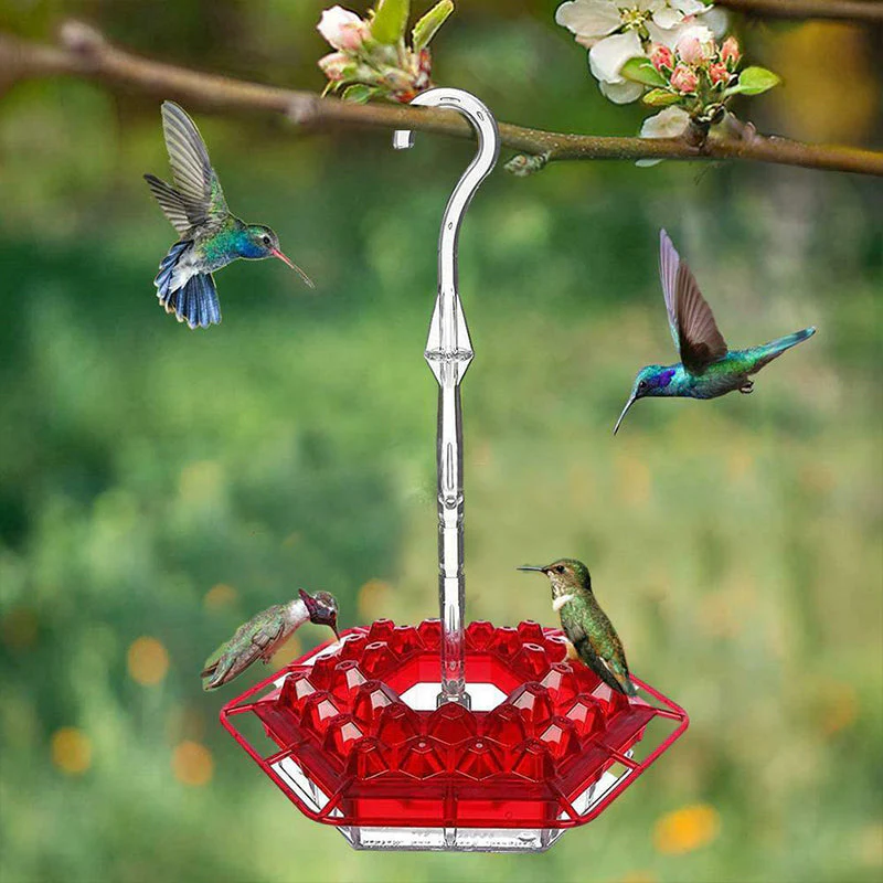 New Hummingbird Feeder - Image 6