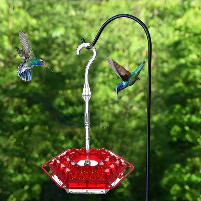 New Hummingbird Feeder - Image 7