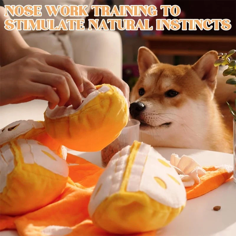 Orange Hide-and-Seek Plush Dog Toy - Image 11