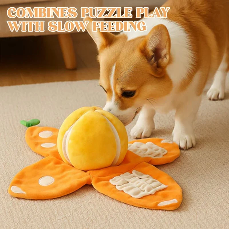 Orange Hide-and-Seek Plush Dog Toy - Image 13