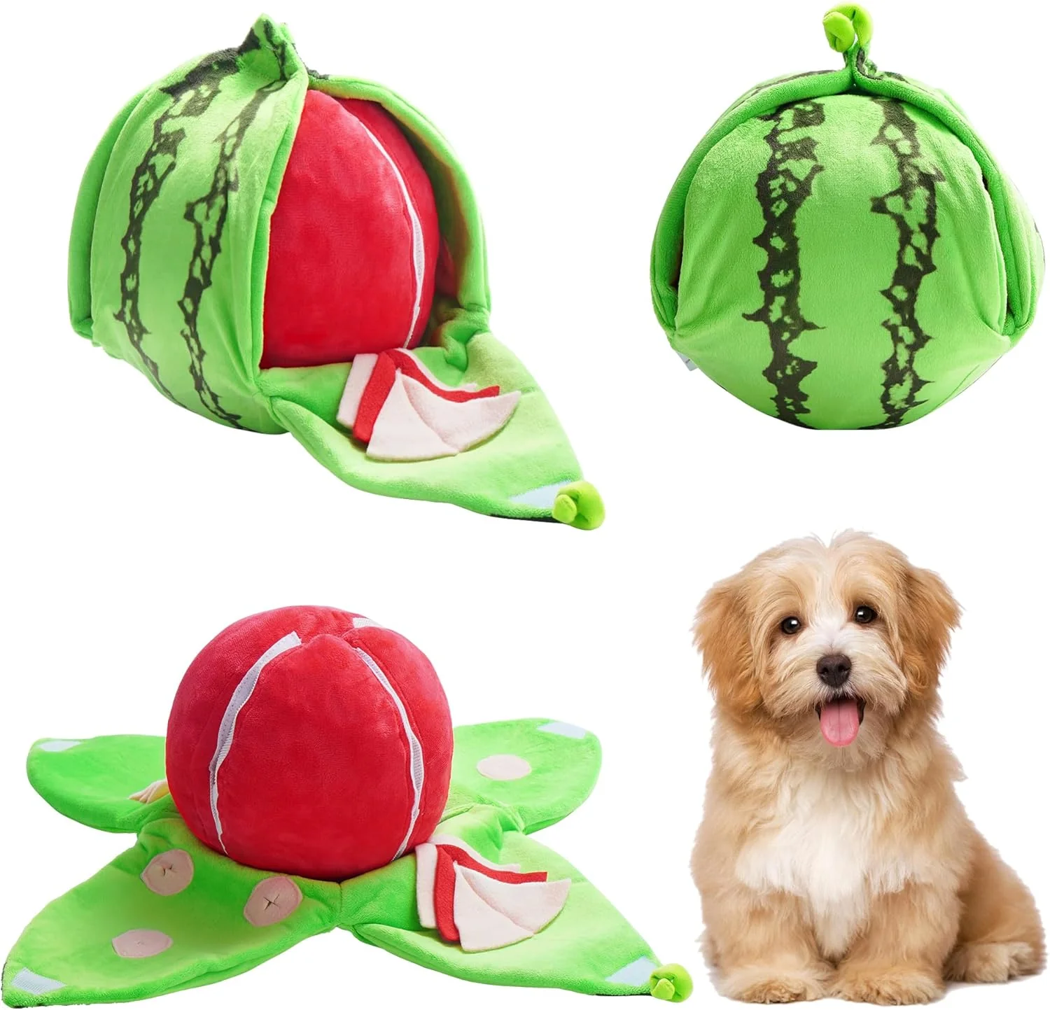 Orange Hide-and-Seek Plush Dog Toy - Image 17