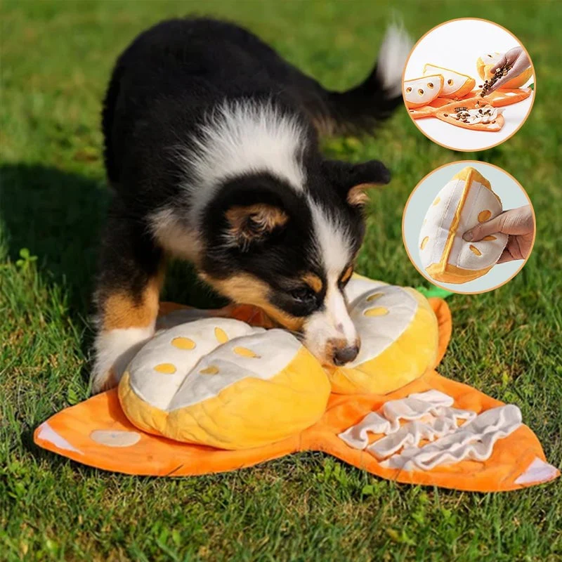 Orange Hide-and-Seek Plush Dog Toy - Image 3