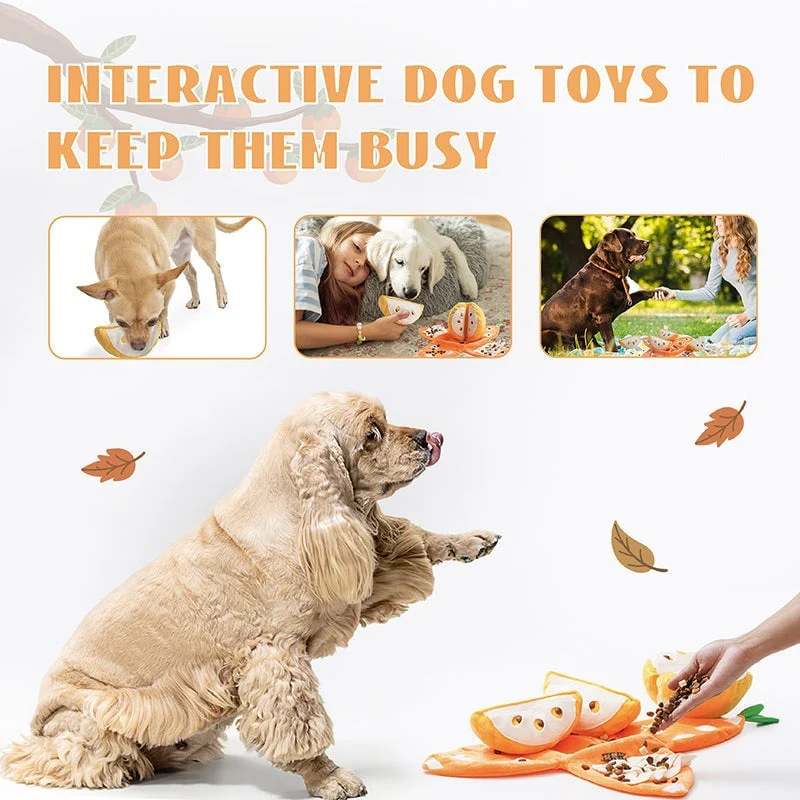 Orange Hide-and-Seek Plush Dog Toy - Image 9