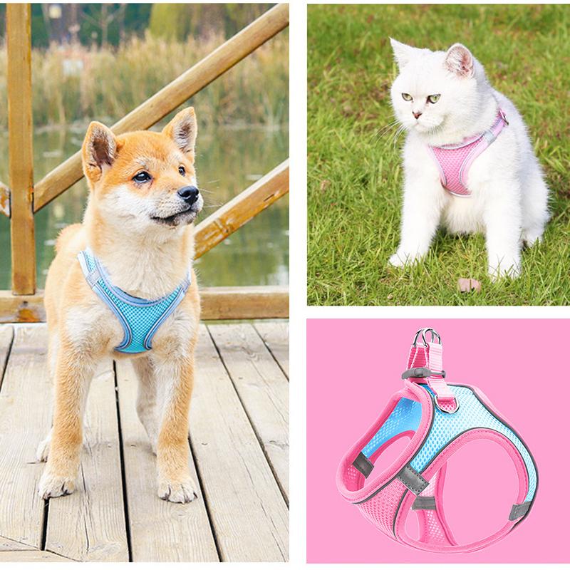 Pet Chest Harness - Image 6