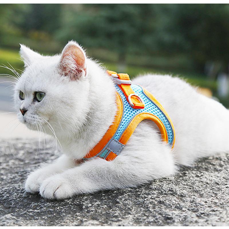 Pet Chest Harness - Image 7