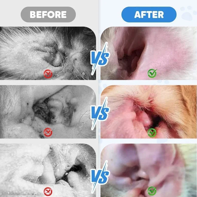 Pet Ear Cleaning Liquid (For Cats & Dogs) - Image 6