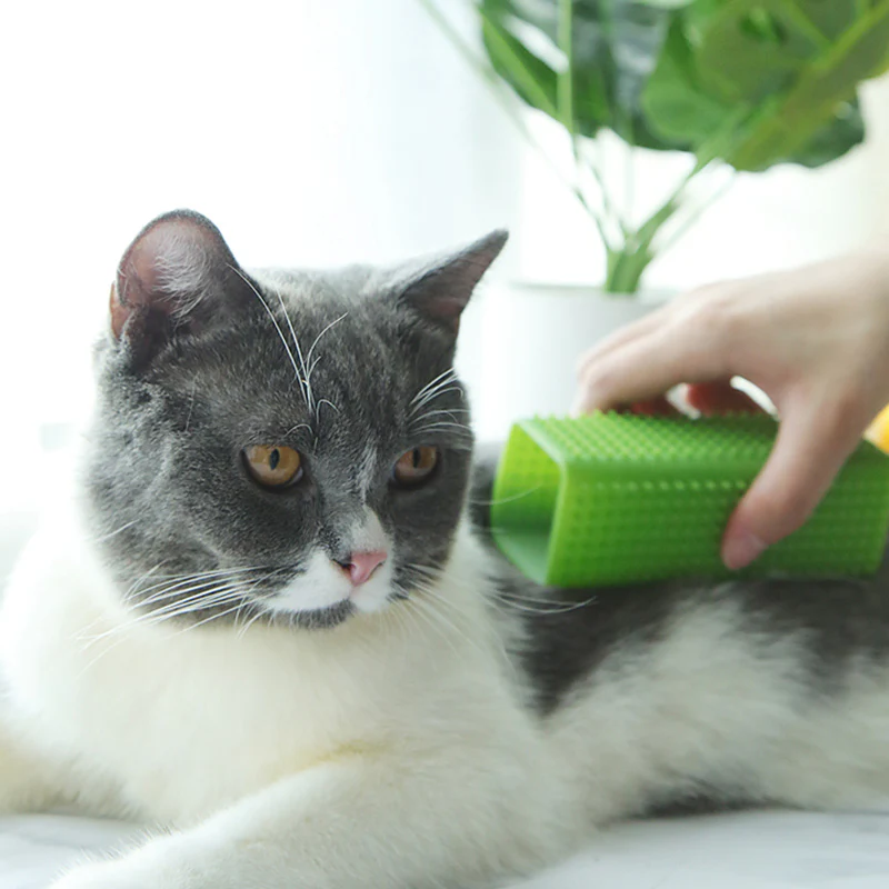 Pet Silicone Hair Remover - Image 2
