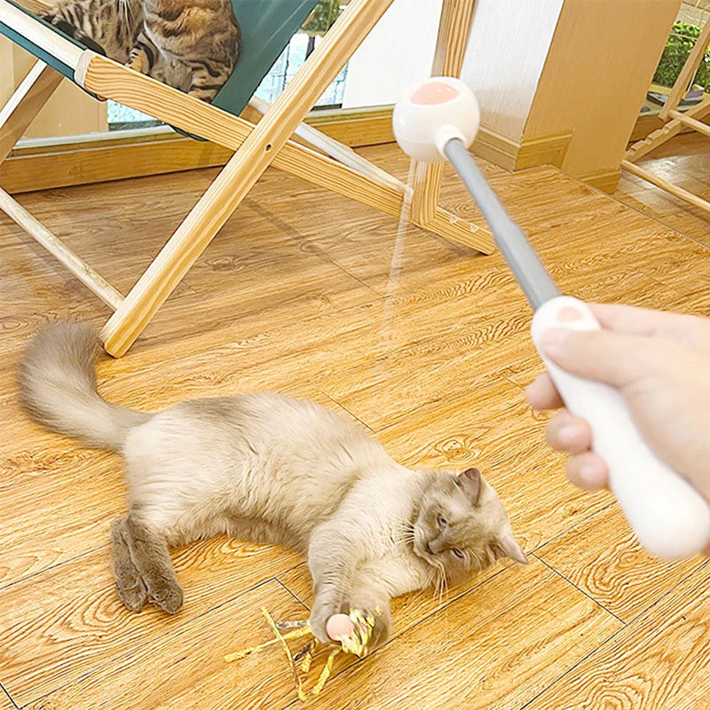 Pet Telescopic Laser Teasing Stick - Image 3