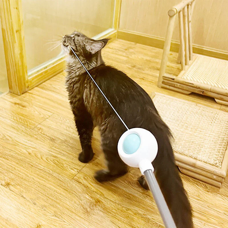 Pet Telescopic Laser Teasing Stick - Image 4