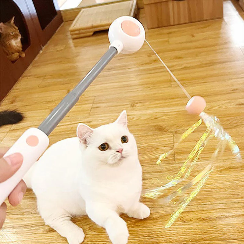 Pet Telescopic Laser Teasing Stick - Image 5