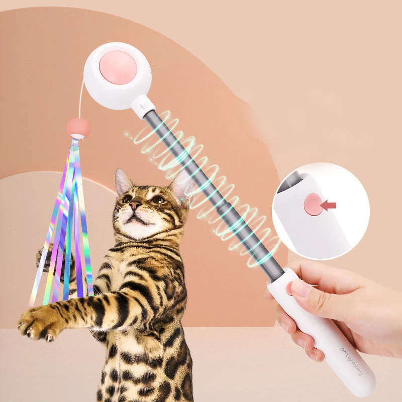 Pet Telescopic Laser Teasing Stick - Image 9