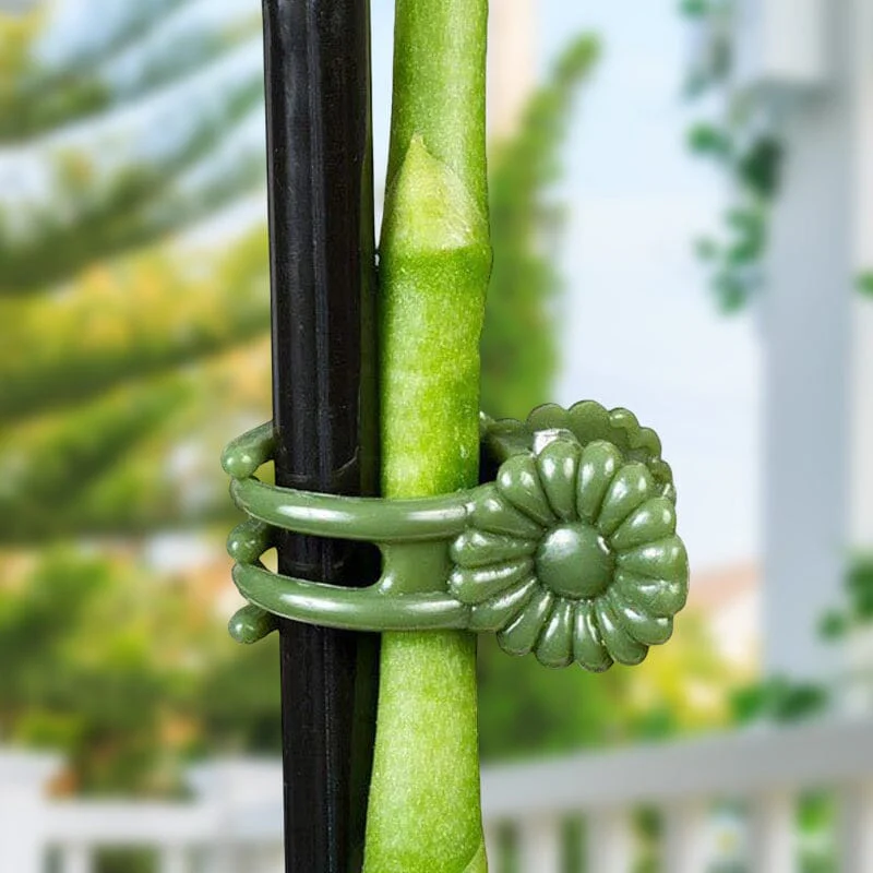 Plant Clips - Image 6