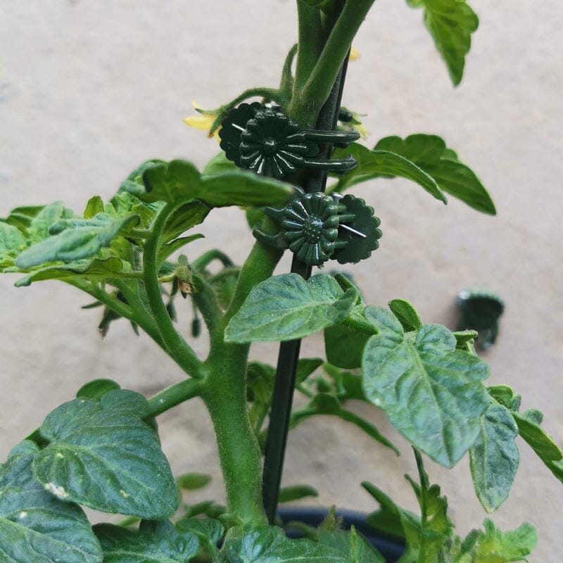 Plant Clips - Image 7