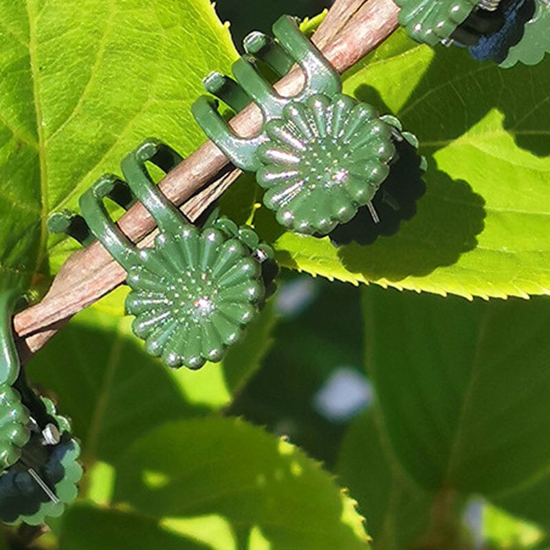 Plant Clips - Image 8