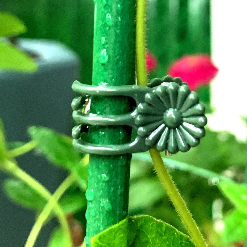Plant Clips - Image 9