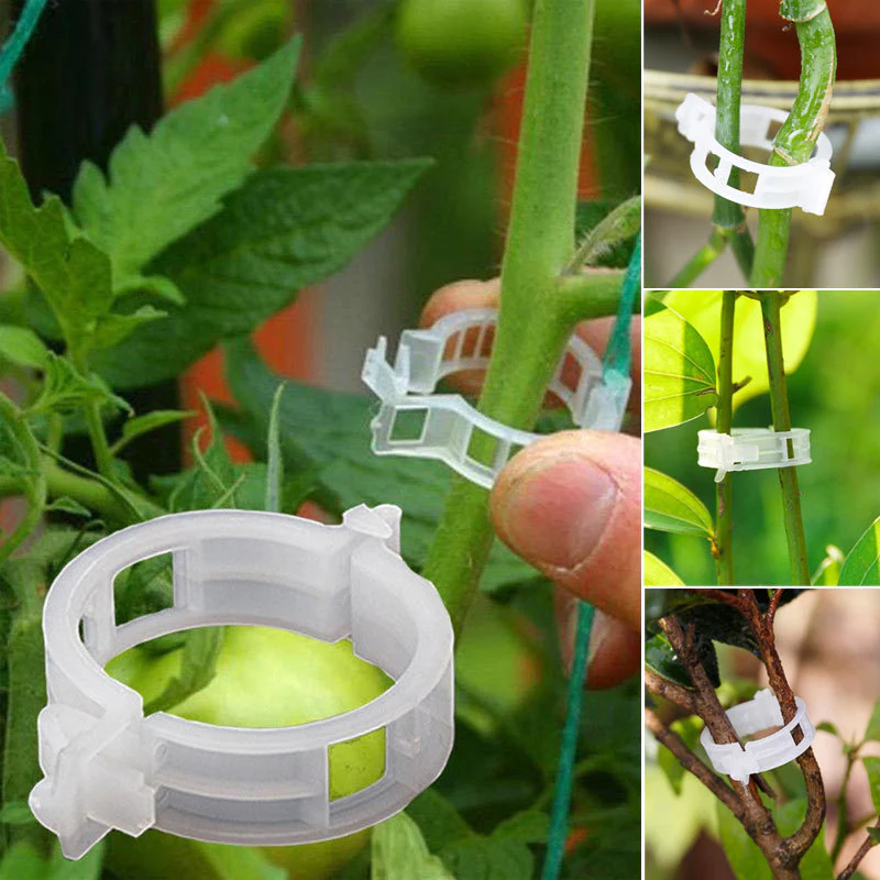 Plant Support Clips - Image 11
