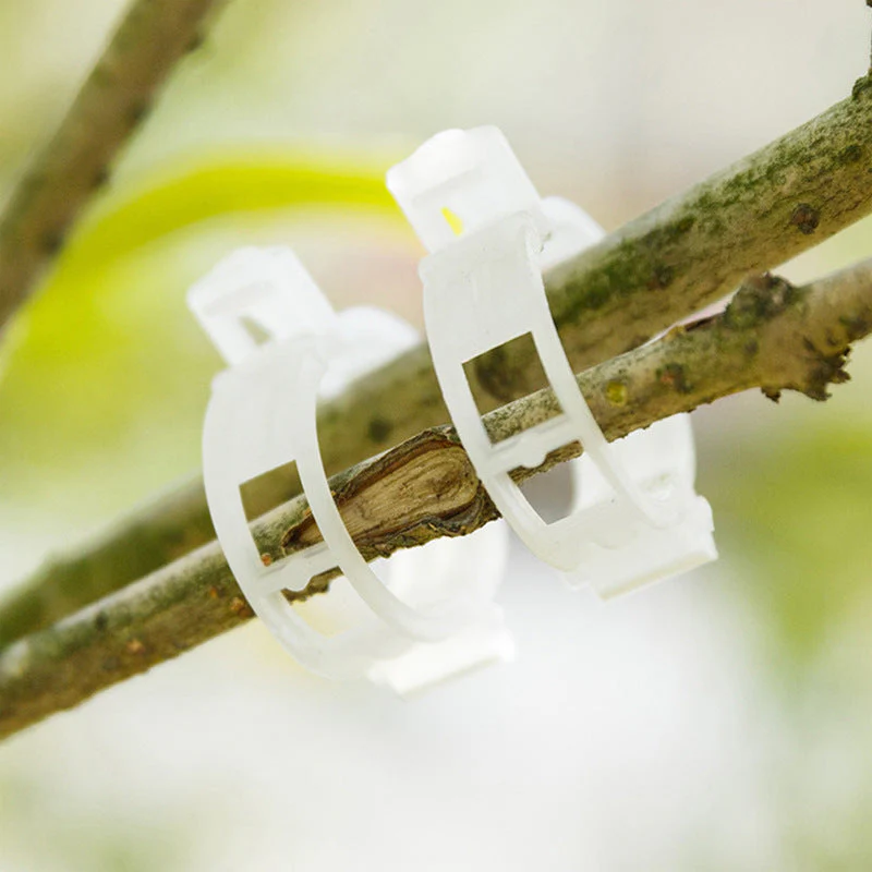 Plant Support Clips - Image 2