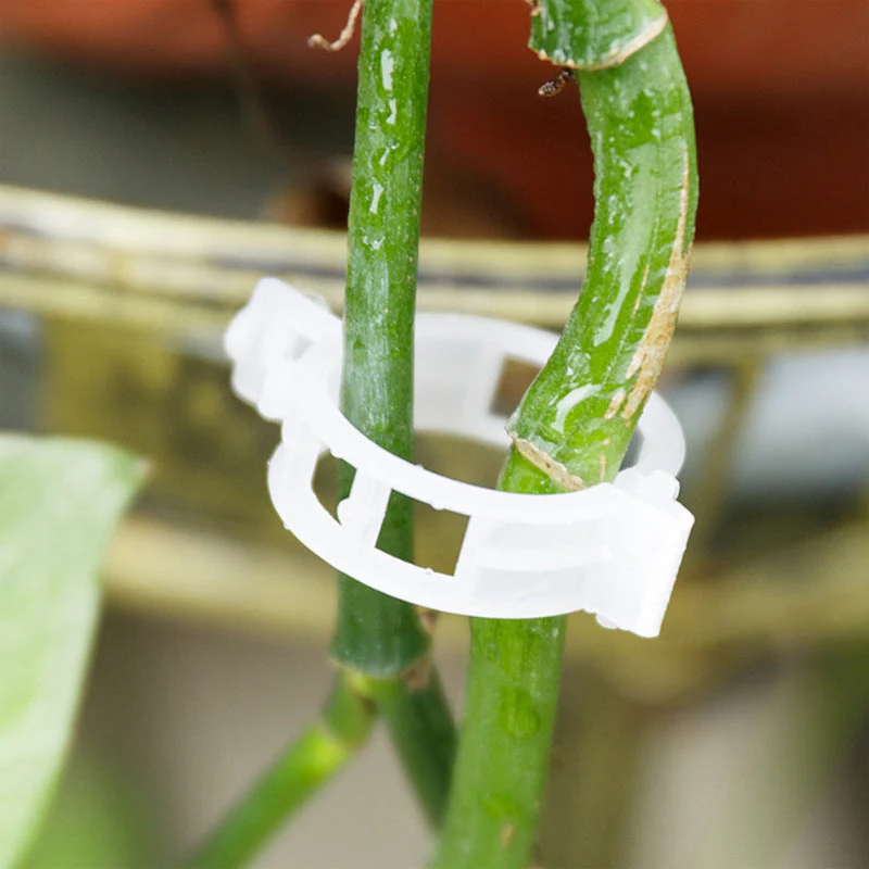 Plant Support Clips - Image 3