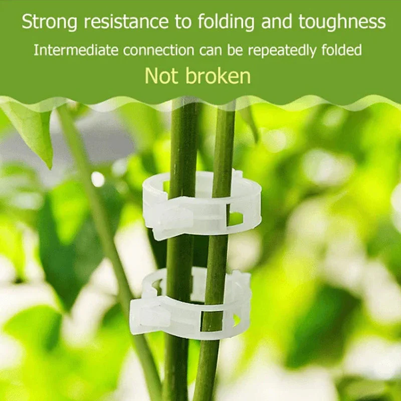 Plant Support Clips - Image 5