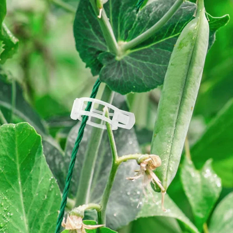 Plant Support Clips - Image 7