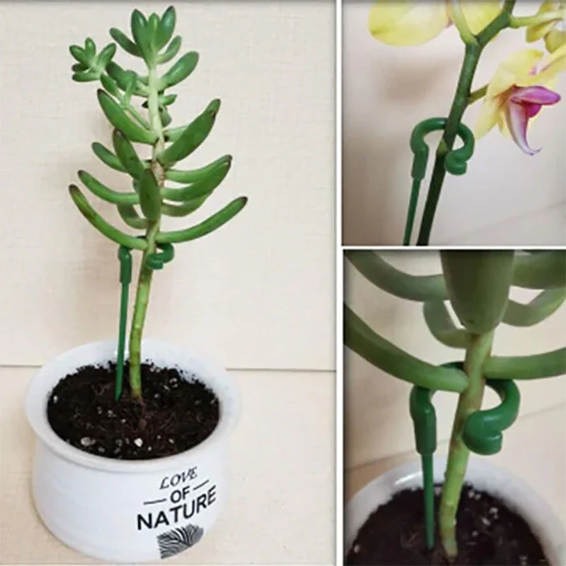 Plant Support Stake - Image 10