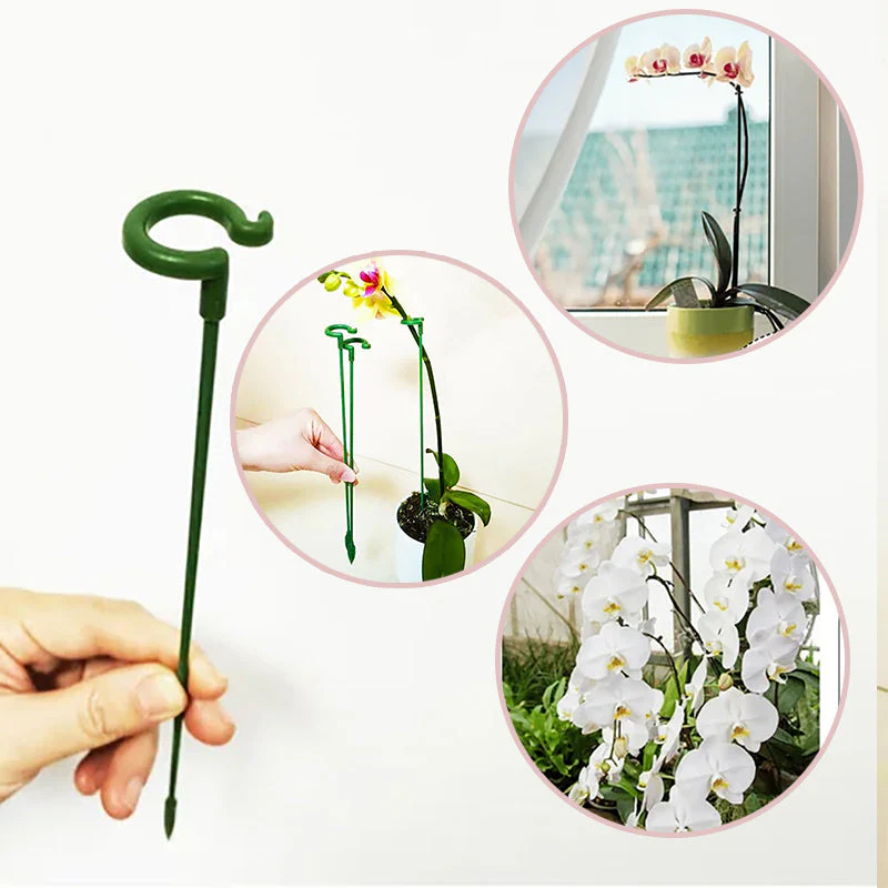 Plant Support Stake - Image 2