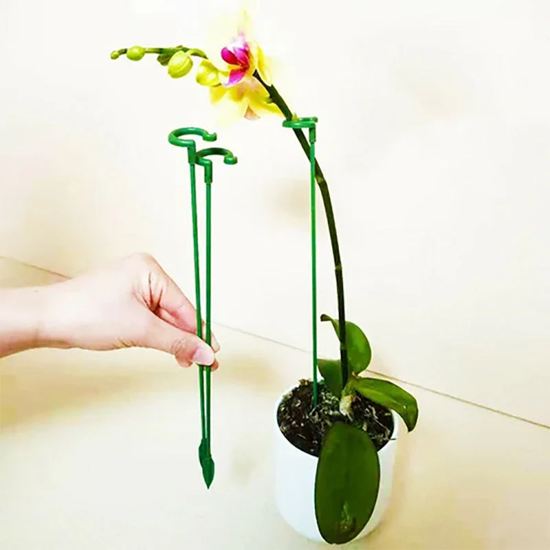 Plant Support Stake - Image 3