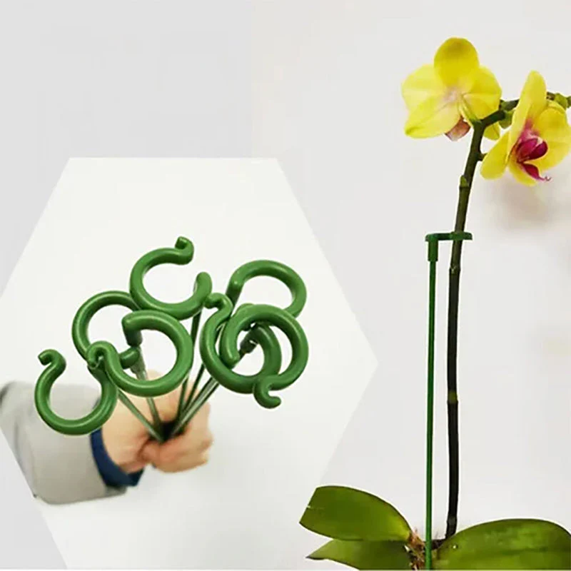 Plant Support Stake - Image 4