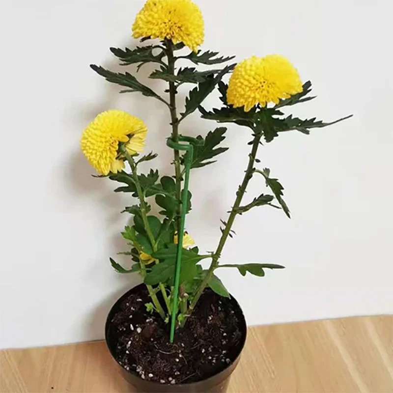 Plant Support Stake - Image 9
