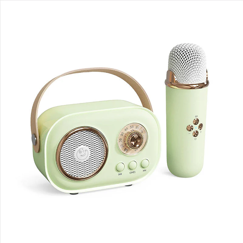 Portable Bluetooth Speaker with Wireless Microphone - Image 12