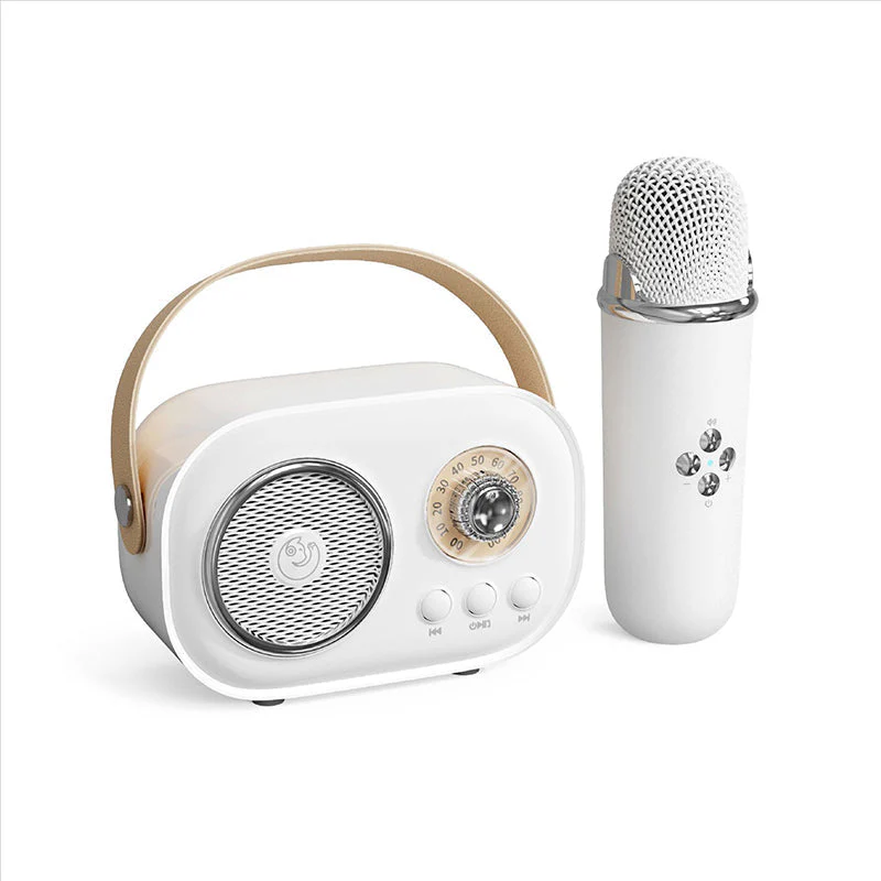 Portable Bluetooth Speaker with Wireless Microphone - Image 14