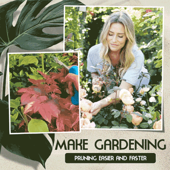 Portable Pointed Gardening Scissor - Image 2