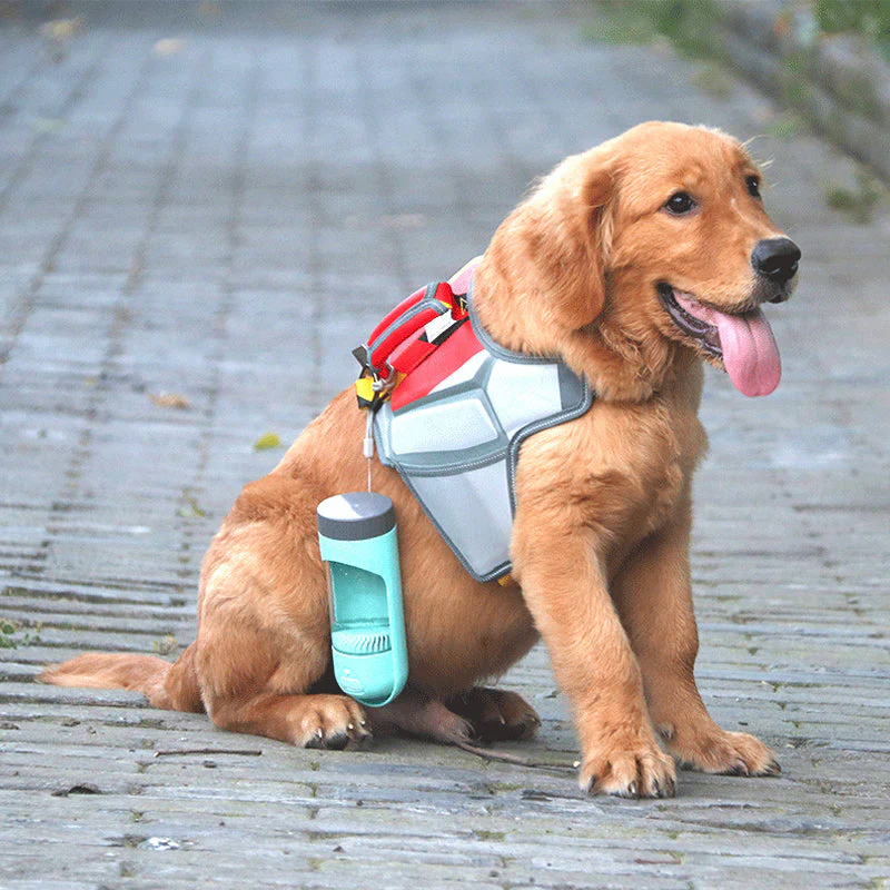 Portable Puppy Water Dispenser - Image 3