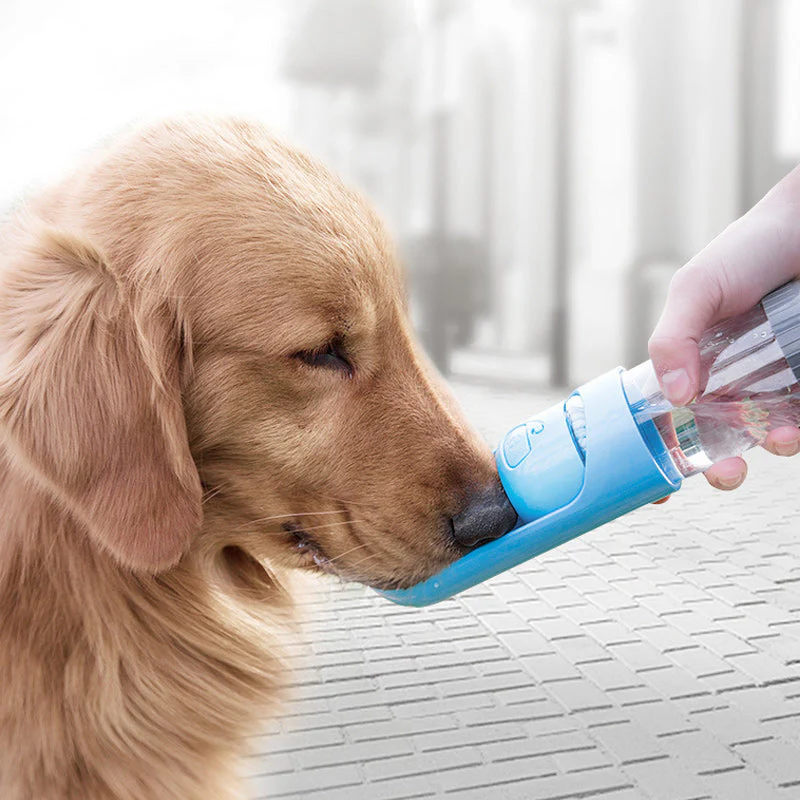Portable Puppy Water Dispenser - Image 5