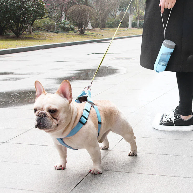 Portable Puppy Water Dispenser - Image 6