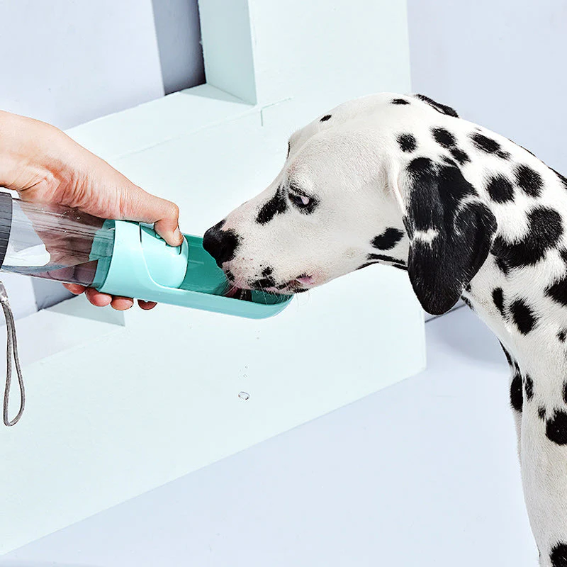 Portable Puppy Water Dispenser - Image 7